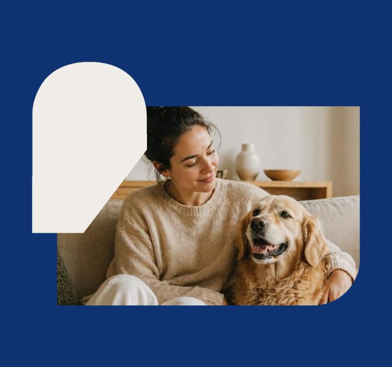 Actudata : Adopter un chien ou un chat, c’est accueillir un membre de la famille. Mais entre les consultations, les urgences et les opérations, les frais vétérinaires